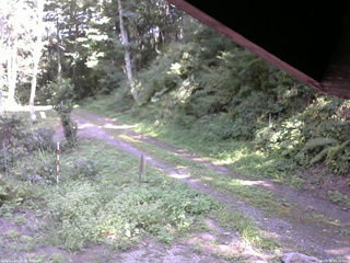 長野県菅平高原 ゆたか山荘 東側(坂下) 2025/08/30 13:45