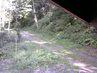 長野県菅平高原 ゆたか山荘 東側(坂下) 2025/08/30 14:15