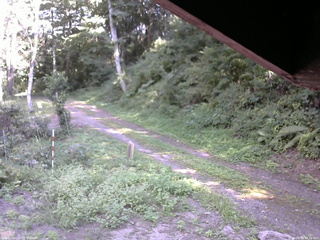 長野県菅平高原 ゆたか山荘 東側(坂下) 2025/08/30 14:30