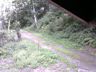 長野県菅平高原 ゆたか山荘 東側(坂下) 2025/08/30 14:45