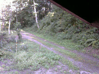 長野県菅平高原 ゆたか山荘 東側(坂下) 2025/08/30 15:00