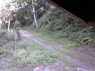 長野県菅平高原 ゆたか山荘 東側(坂下) 2025/08/30 15:15