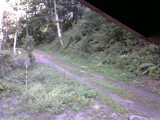 長野県菅平高原 ゆたか山荘 東側(坂下) 2025/08/30 15:30