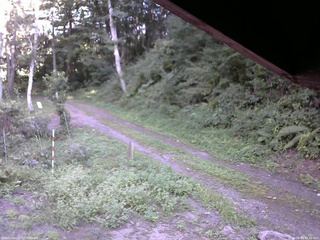 長野県菅平高原 ゆたか山荘 東側(坂下) 2025/08/30 15:45