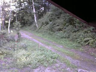 長野県菅平高原 ゆたか山荘 東側(坂下) 2025/08/30 16:00