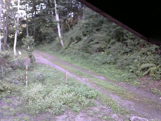 長野県菅平高原 ゆたか山荘 東側(坂下) 2025/08/30 16:30