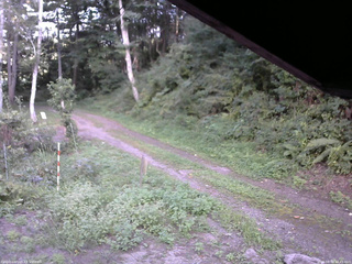 長野県菅平高原 ゆたか山荘 東側(坂下) 2025/08/30 16:45