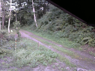 長野県菅平高原 ゆたか山荘 東側(坂下) 2025/08/30 17:15