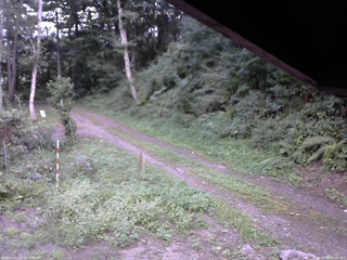 長野県菅平高原 ゆたか山荘 東側(坂下) 2025/08/30 17:45