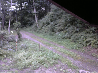 長野県菅平高原 ゆたか山荘 東側(坂下) 2025/08/30 18:00