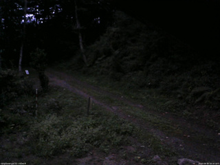 長野県菅平高原 ゆたか山荘 東側(坂下) 2025/08/30 18:30