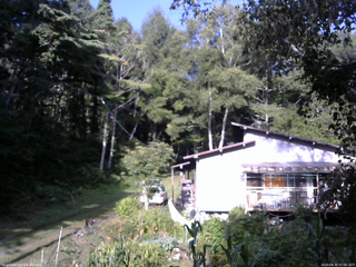 長野県菅平高原 ゆたか山荘 西側(坂上) 2025/08/30 07:00