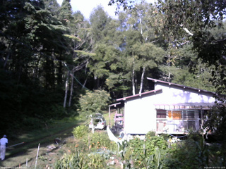 長野県菅平高原 ゆたか山荘 西側(坂上) 2025/08/30 07:15