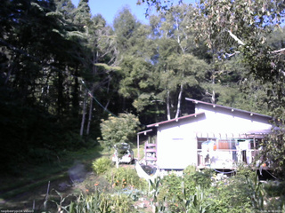 長野県菅平高原 ゆたか山荘 西側(坂上) 2025/08/30 08:00