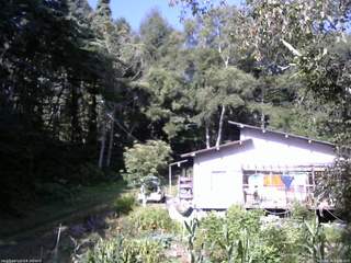 長野県菅平高原 ゆたか山荘 西側(坂上) 2025/08/30 08:30