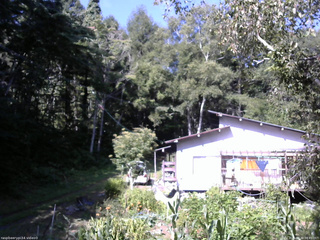 長野県菅平高原 ゆたか山荘 西側(坂上) 2025/08/30 08:45