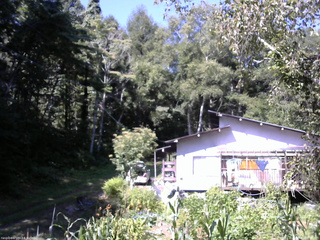 長野県菅平高原 ゆたか山荘 西側(坂上) 2025/08/30 09:30