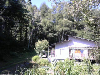 長野県菅平高原 ゆたか山荘 西側(坂上) 2025/08/30 09:45