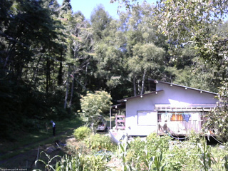 長野県菅平高原 ゆたか山荘 西側(坂上) 2025/08/30 10:15