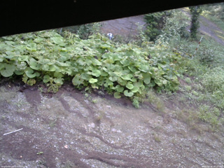 長野県菅平高原 ゆたか山荘 駐車場 2025/08/30 06:15