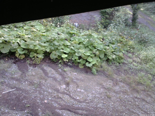 長野県菅平高原 ゆたか山荘 駐車場 2025/08/30 06:30