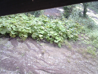 長野県菅平高原 ゆたか山荘 駐車場 2025/08/30 07:00