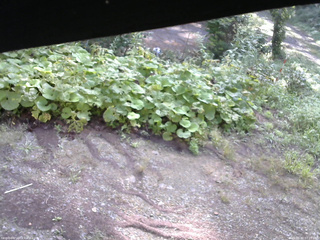 長野県菅平高原 ゆたか山荘 駐車場 2025/08/30 07:15