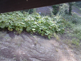長野県菅平高原 ゆたか山荘 駐車場 2025/08/30 07:45