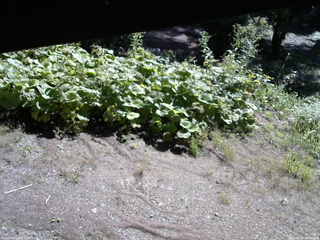 長野県菅平高原 ゆたか山荘 駐車場 2025/08/30 08:45