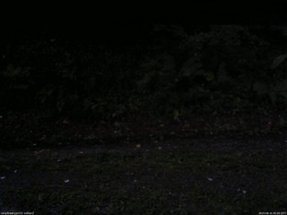 長野県菅平高原 ゆたか山荘 南側 2025/08/31 05:00