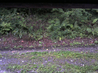 長野県菅平高原 ゆたか山荘 南側 2025/08/31 05:15