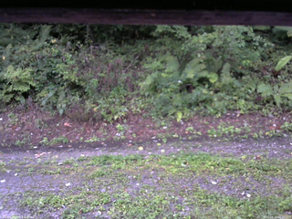 長野県菅平高原 ゆたか山荘 南側 2025/08/31 05:30