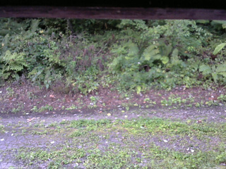 長野県菅平高原 ゆたか山荘 南側 2025/08/31 05:45