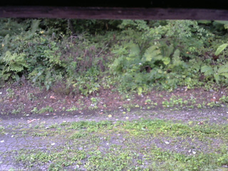 長野県菅平高原 ゆたか山荘 南側 2025/08/31 06:00