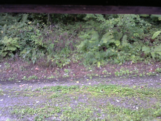 長野県菅平高原 ゆたか山荘 南側 2025/08/31 06:15