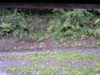 長野県菅平高原 ゆたか山荘 南側 2025/08/31 06:30