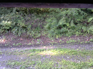 長野県菅平高原 ゆたか山荘 南側 2025/08/31 06:45