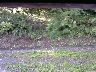 長野県菅平高原 ゆたか山荘 南側 2025/08/31 07:00