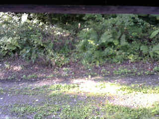 長野県菅平高原 ゆたか山荘 南側 2025/08/31 07:15