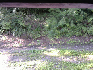 長野県菅平高原 ゆたか山荘 南側 2025/08/31 07:30