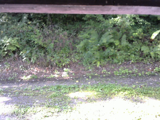 長野県菅平高原 ゆたか山荘 南側 2025/08/31 07:45