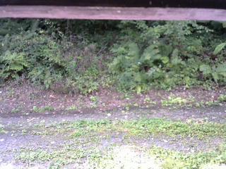 長野県菅平高原 ゆたか山荘 南側 2025/08/31 08:15