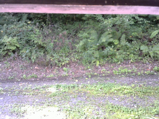 長野県菅平高原 ゆたか山荘 南側 2025/08/31 08:30