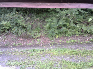 長野県菅平高原 ゆたか山荘 南側 2025/08/31 08:45