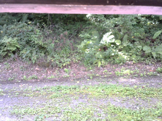 長野県菅平高原 ゆたか山荘 南側 2025/08/31 09:00