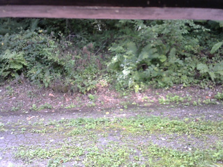 長野県菅平高原 ゆたか山荘 南側 2025/08/31 09:15