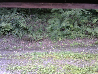 長野県菅平高原 ゆたか山荘 南側 2025/08/31 09:30