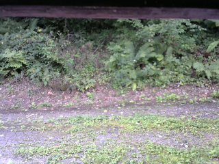 長野県菅平高原 ゆたか山荘 南側 2025/08/31 09:45