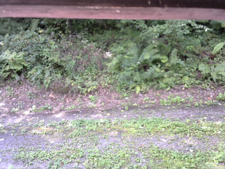 長野県菅平高原 ゆたか山荘 南側 2025/08/31 10:00