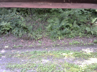 長野県菅平高原 ゆたか山荘 南側 2025/08/31 10:15